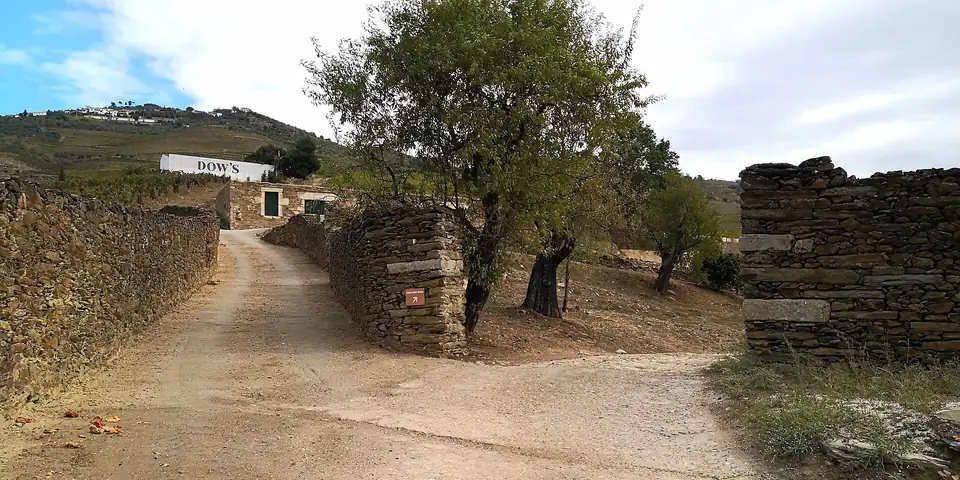Ein Sandweg zwischen Steinmauern und Rebstöcken auf einer Quinta bei Pinhão