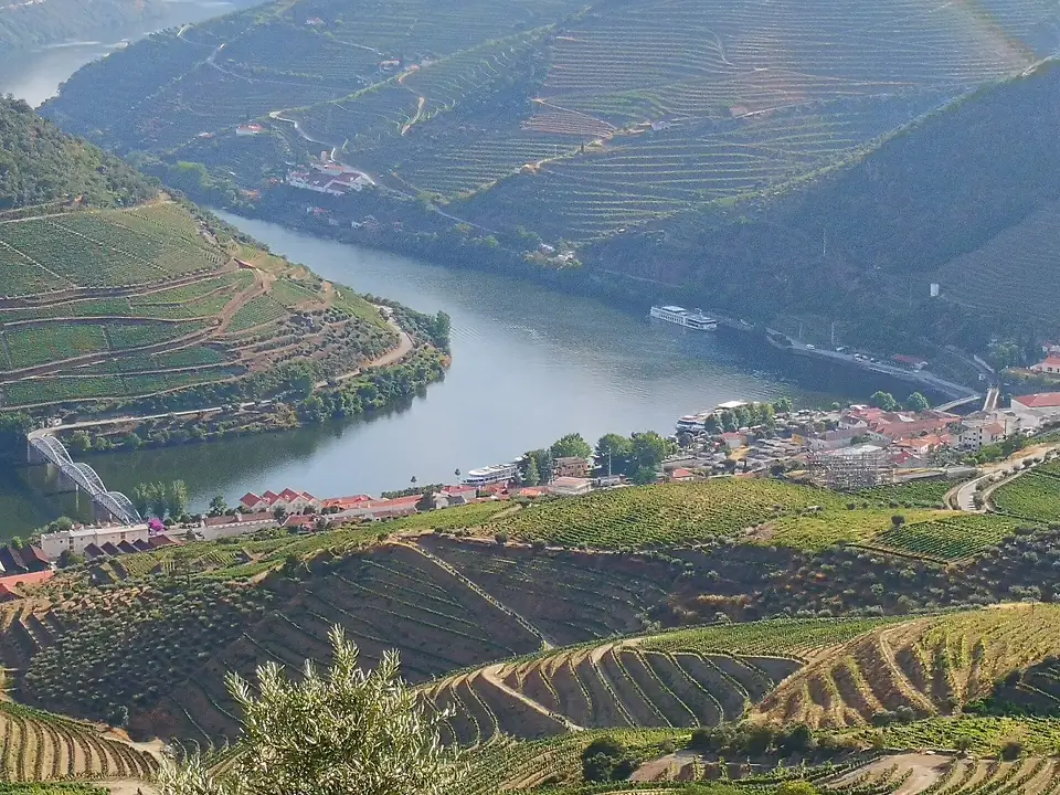Die Flussschleife des Douro bei Pinhão, gesehen von Casal de Loivos