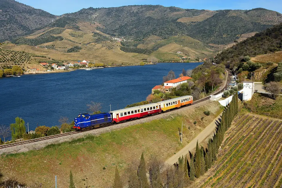 Ein Zug mit Diesellok fährt im Douro Superior zwischen Terrassen am Douro entlang