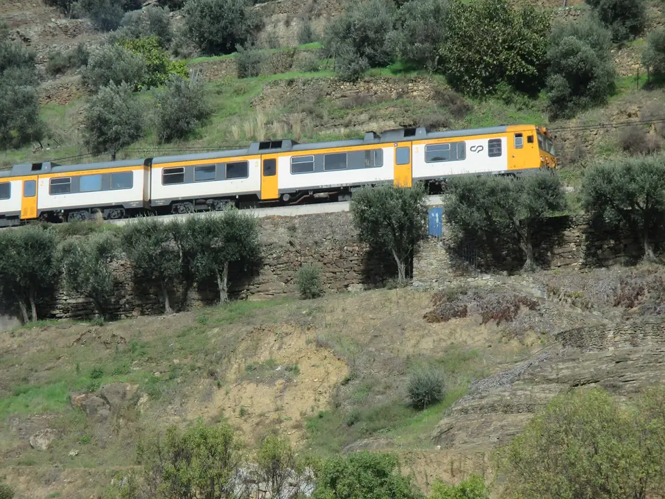 Från Porto: flodtur från Régua till Porto med lunch ombord