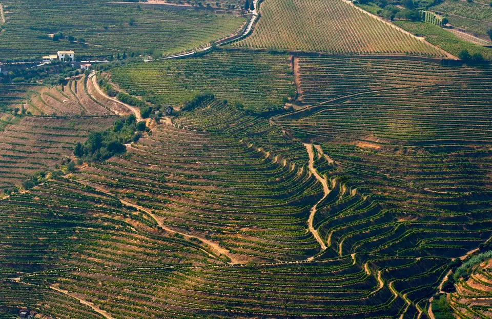 Weinberge auf der Hochebene über dem Douro rund um die Weindörfer