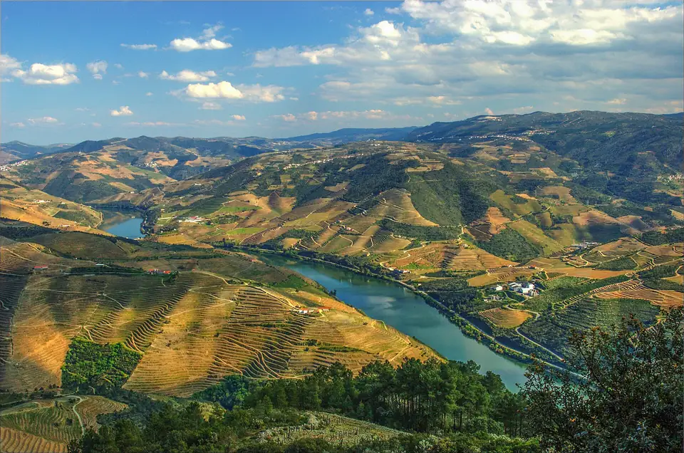 Blick über das Tal von São Leonardo de Galafura