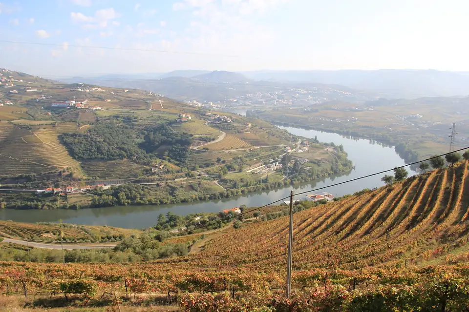 Weinterrassen in Herbstfarben über dem Douro