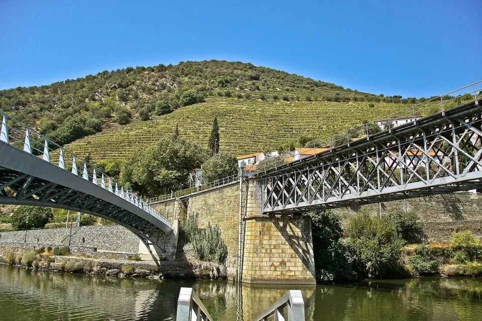 Pinhão