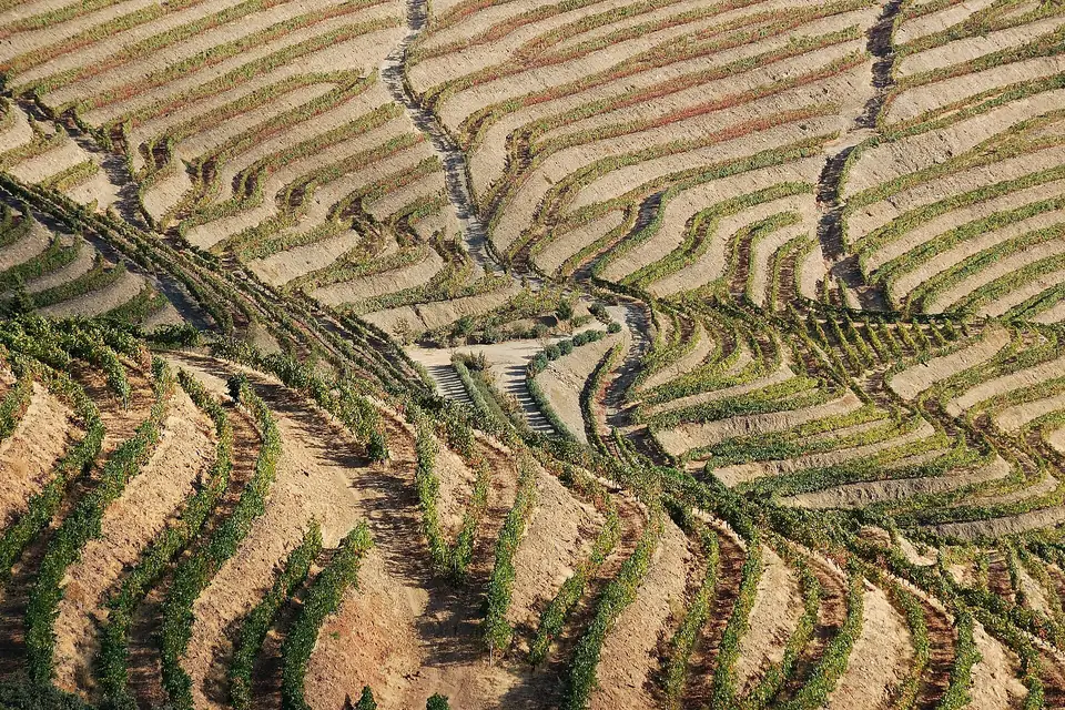 Fünf Tage Wandern durch die Weinberge, alles inklusive