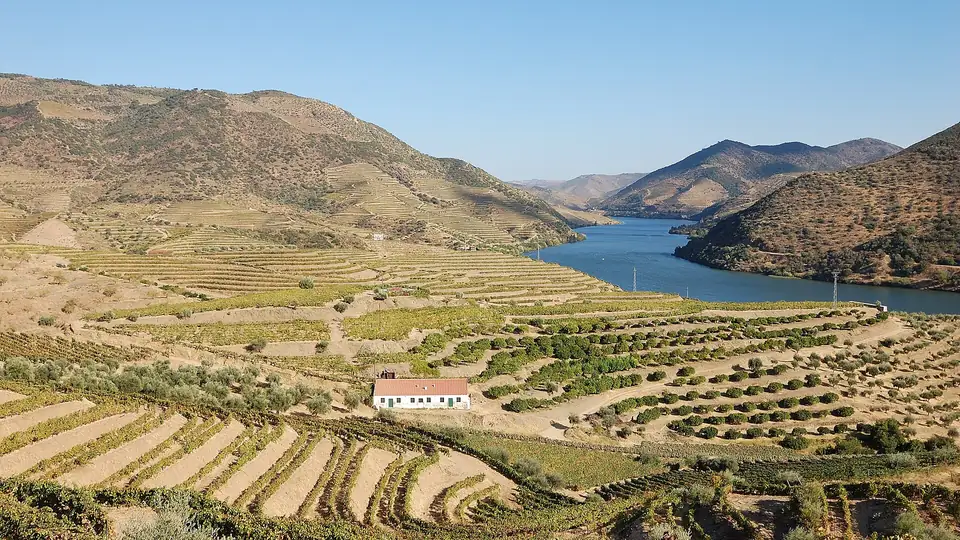 Drei Tage Wandern im Douro-Tal, alles inklusive
